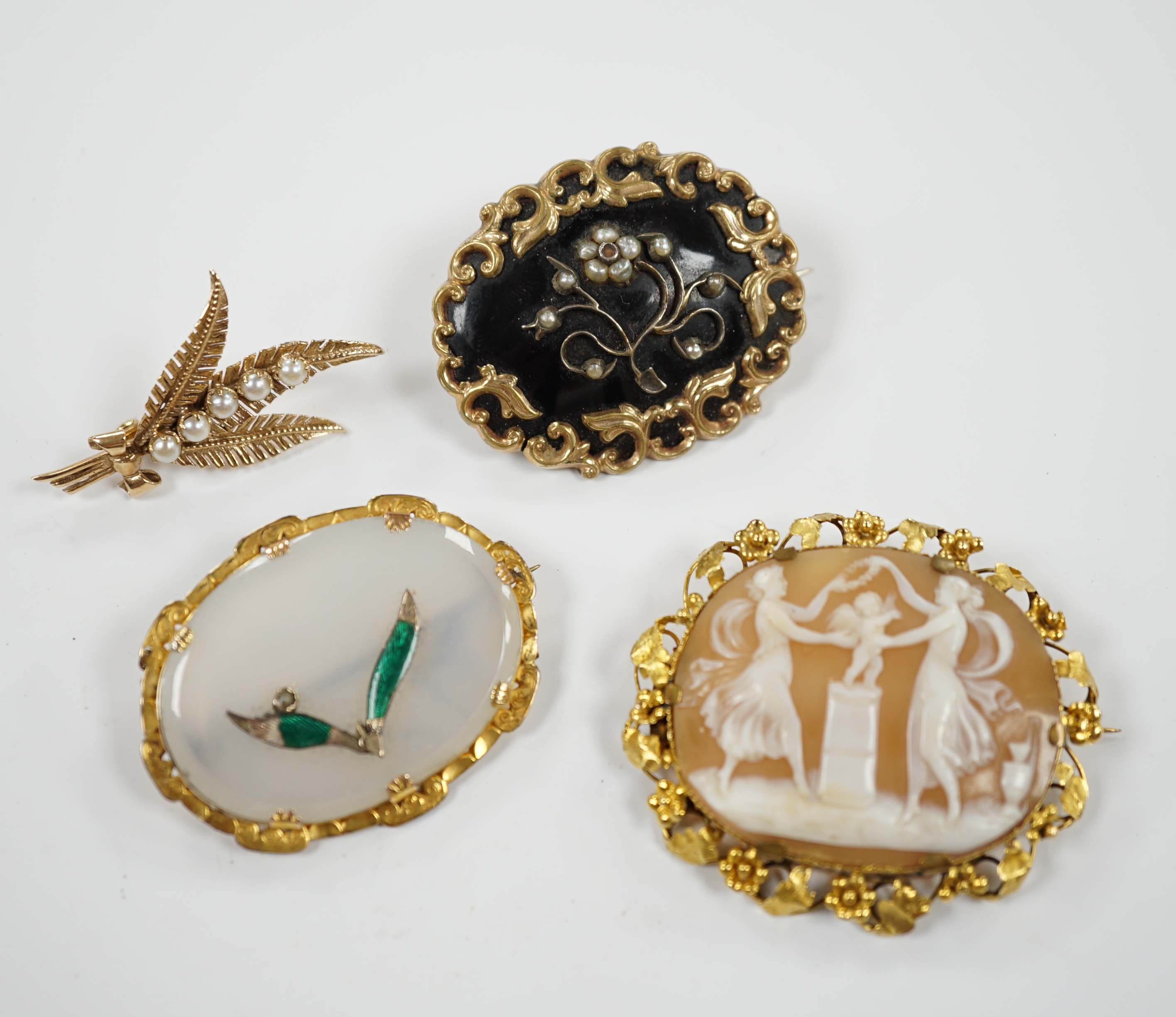 A Victorian yellow metal, black enamel and seed pearl set mourning brooch, 43mm, two other yellow metal mounted brooches, including cameo shell, together with a recent 9ct gold and five stone culture pearl set fern brooc